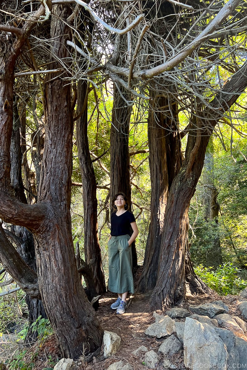 a girl standing inside tree limbs