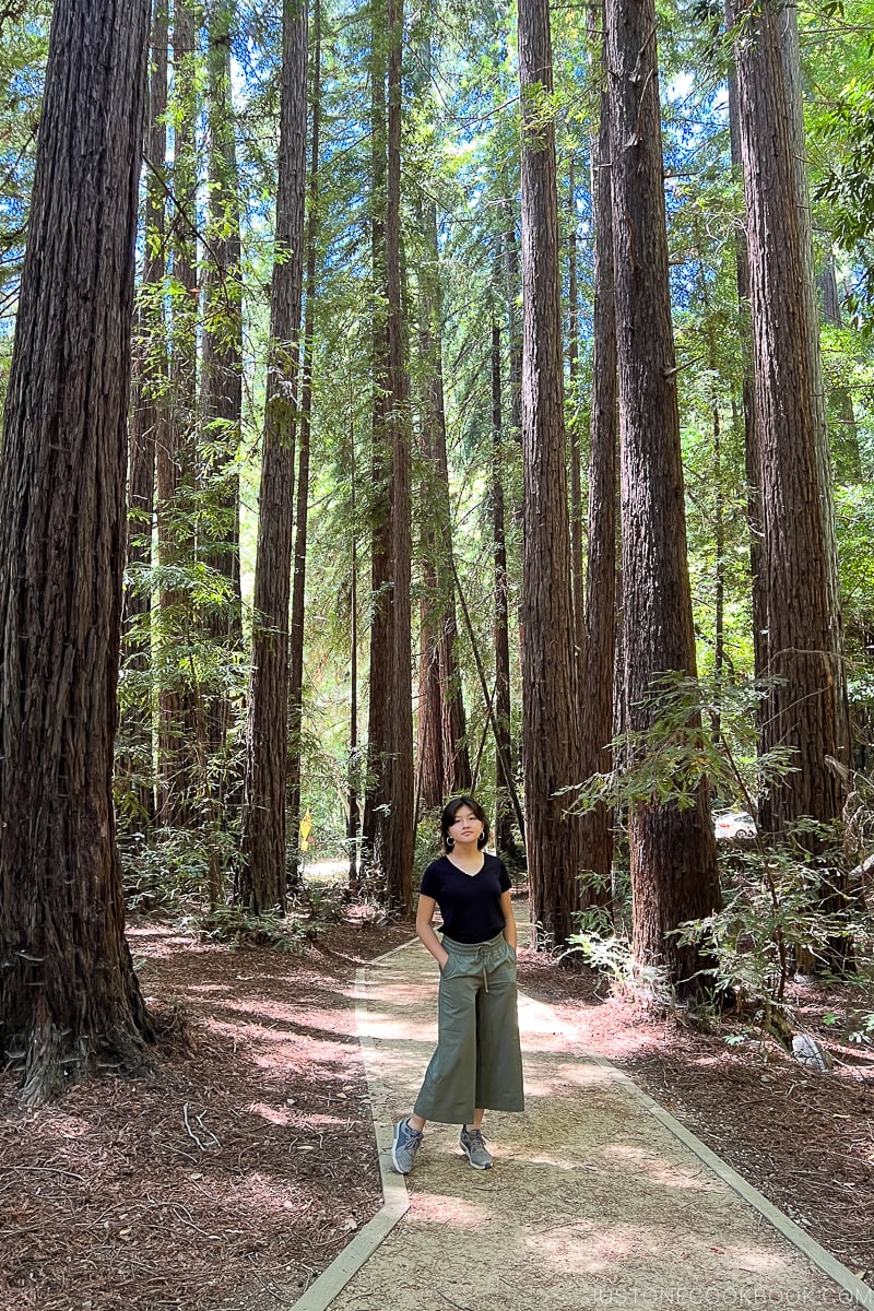 a girl standing at Nature Trail at Pfeiffer Big Sur State Park