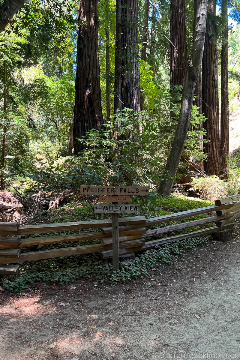 sign for Pfeiffer Falls and Valley View trail