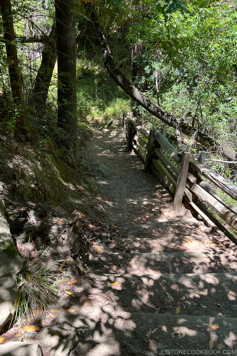 a trail with wood guard rail on the right