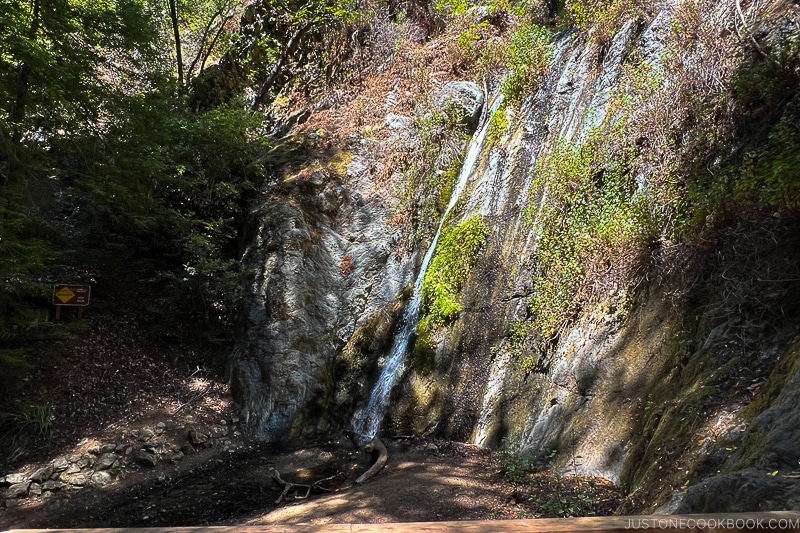 Pfeiffer Falls at Pfeiffer Big Sur State Park