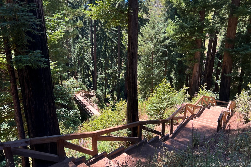 steps and guardrails at Pfeiffer Falls Trail