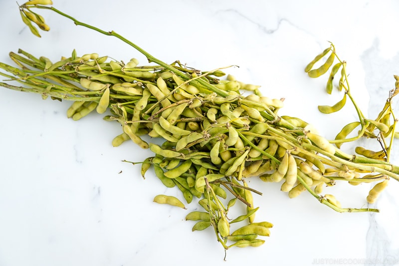 Fresh edamame stalks