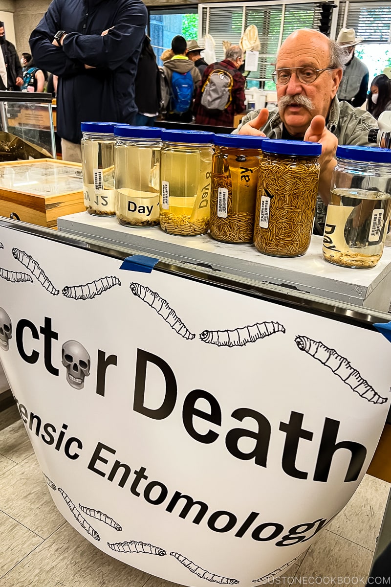table with doctor death sign and maggots in glass jars