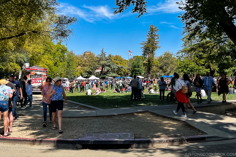 people walking around grass field