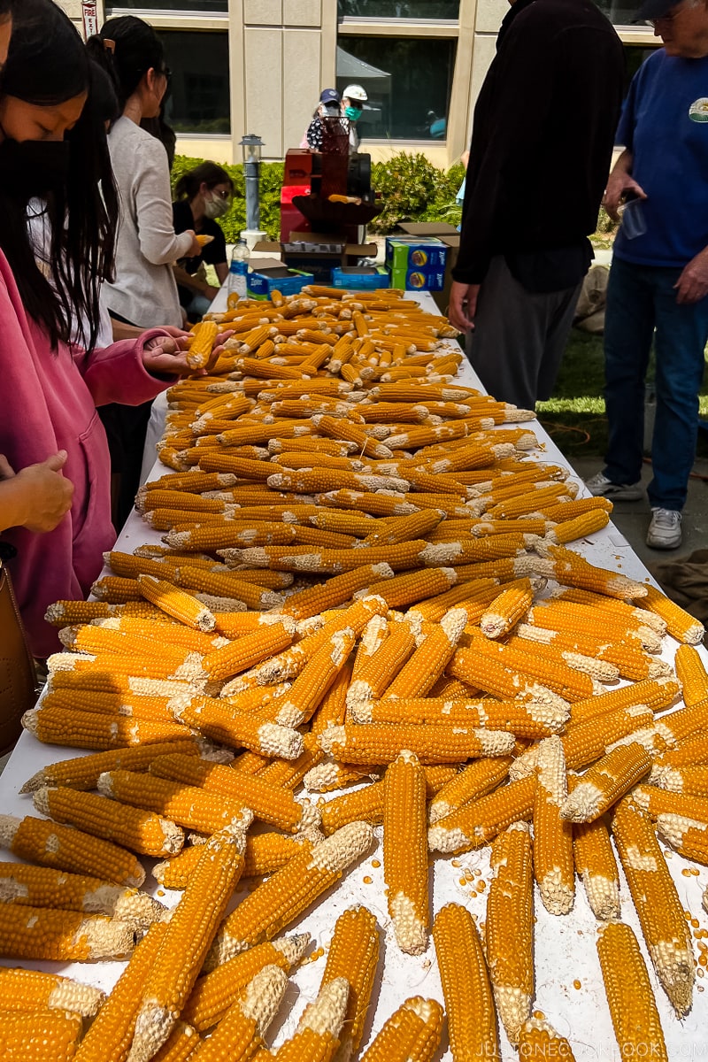 corn waiting to be husked on table