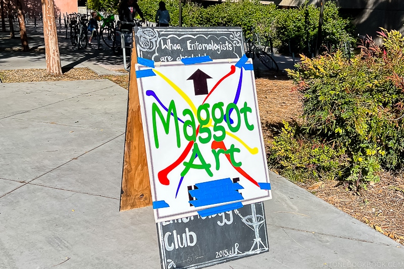 sign with maggot art