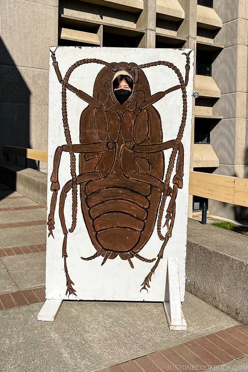 girl behind an insect cutout