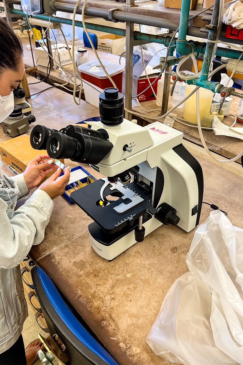 a girl looking at samples next to microscope