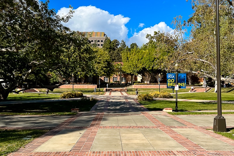 walkway and greenery at UCLA
