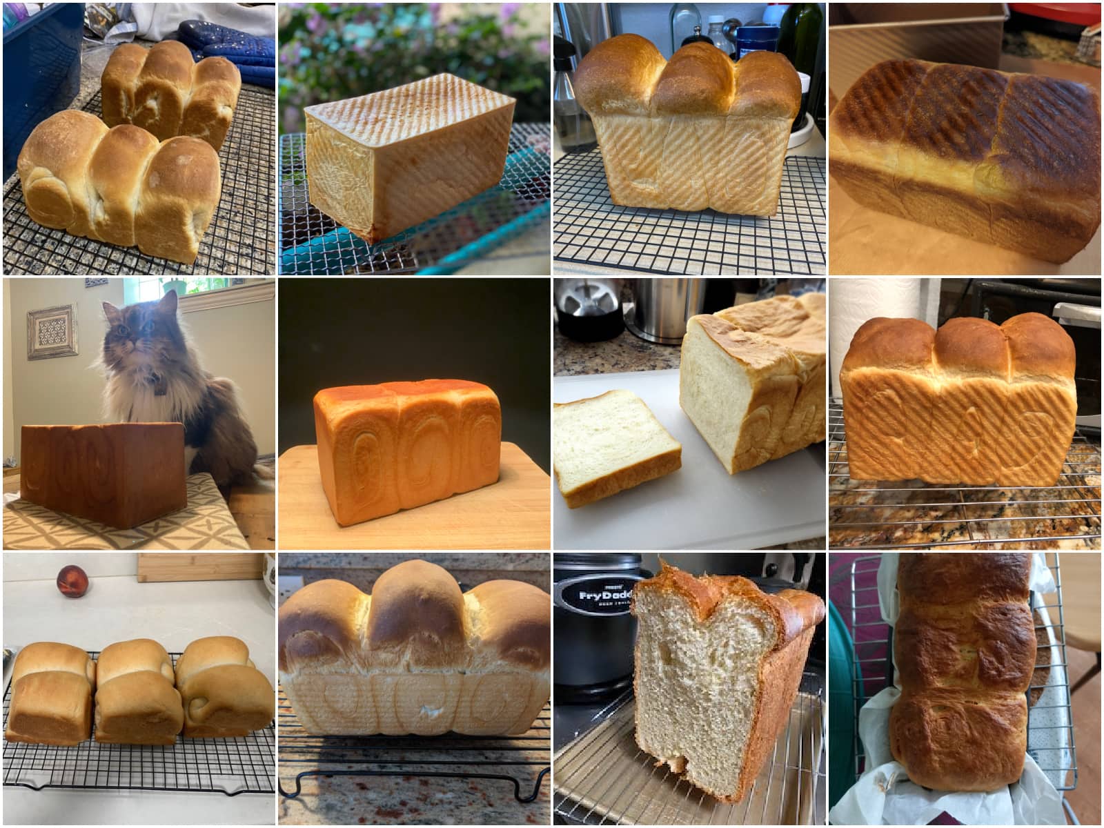 Japanese Milk Bread (Shokupan) (Video) 食パン • Just One Cookbook