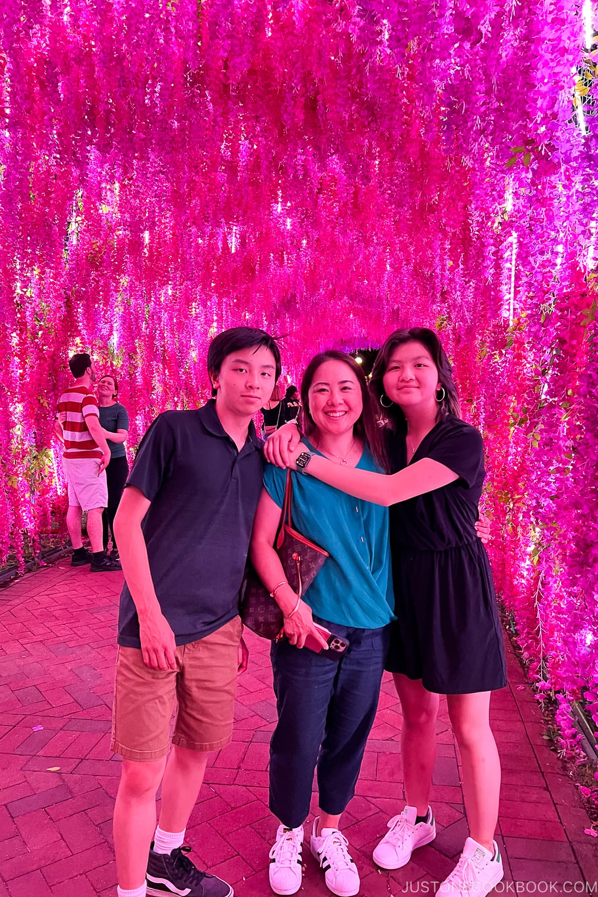 three people standing under lit wisteria