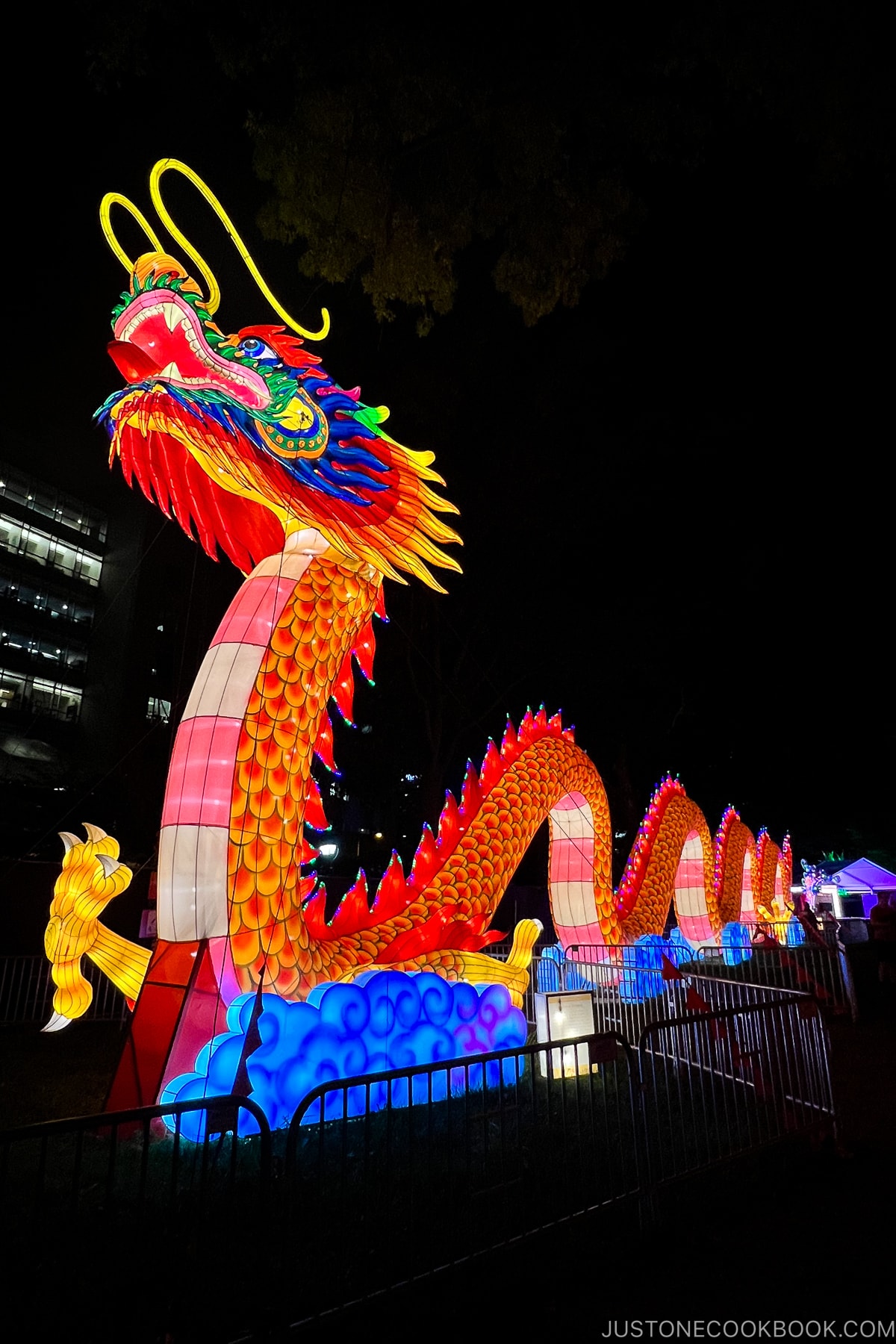 a lit dragon lantern