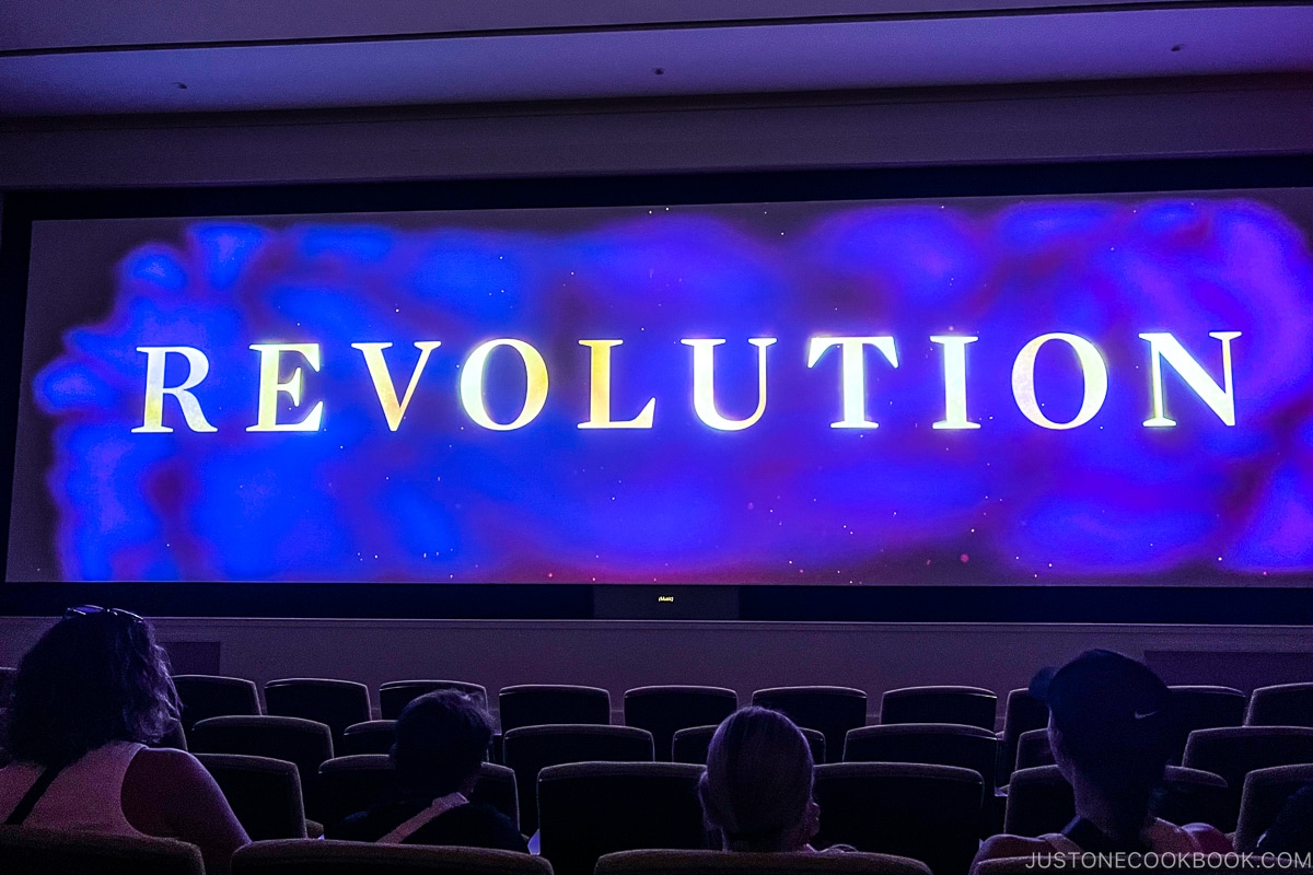 schermo teatrale con testo Revolution