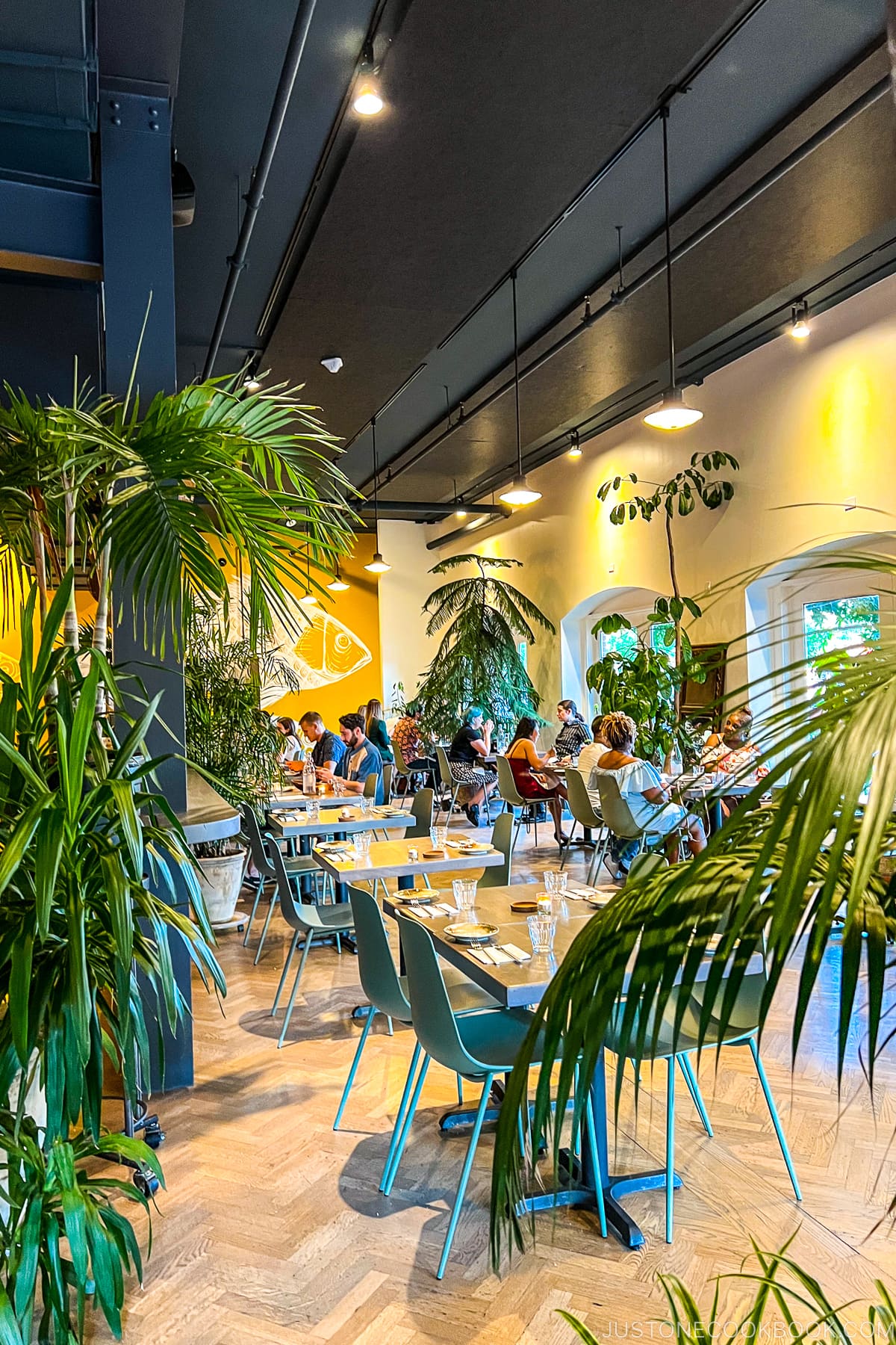 seating area at Alma Cocina Latina in Baltimore