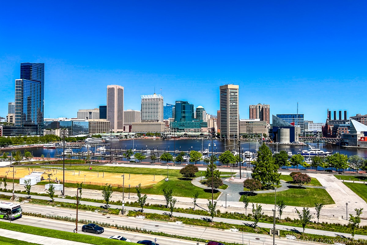 view of Baltimore from Federal Hill Park