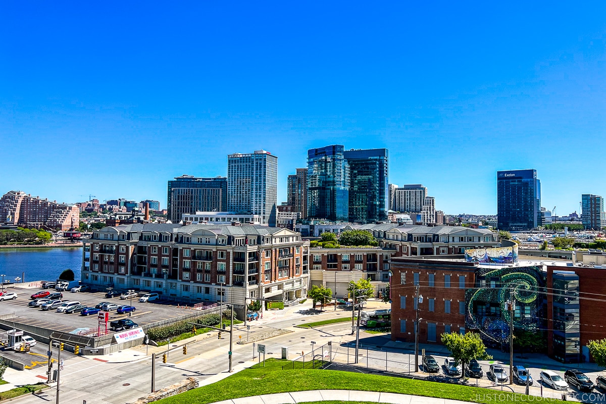 view of Baltimore from Federal Hill Park