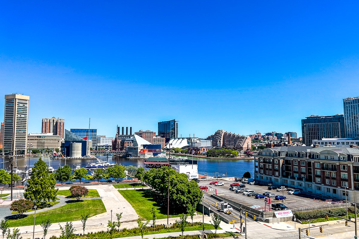 view of Baltimore from Federal Hill Park