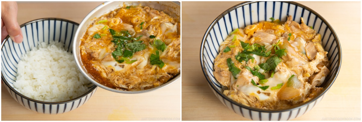 Oyakodon 21