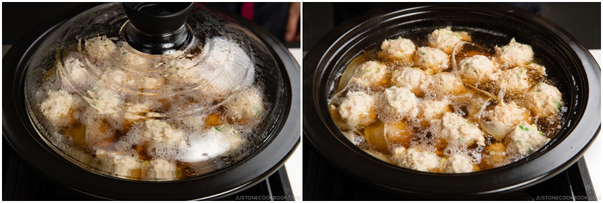 https://www.justonecookbook.com/wp-content/uploads/2022/10/Tsukune-Hot-Pot-20.jpg