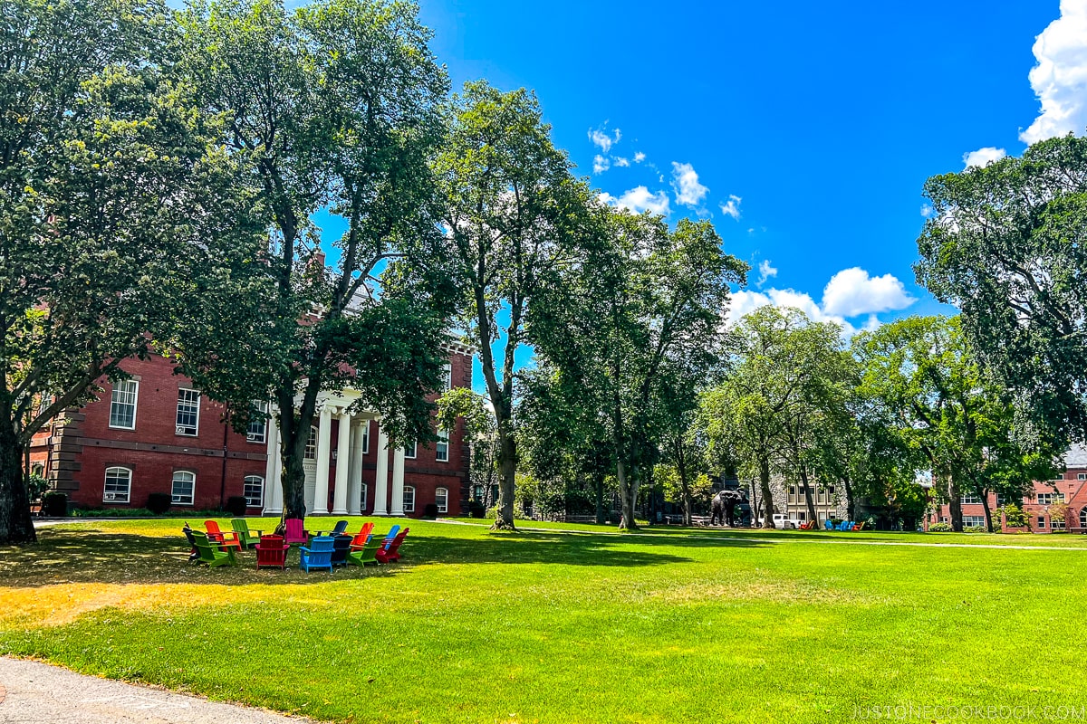 Jumbo Statue and The Green at Tufts University