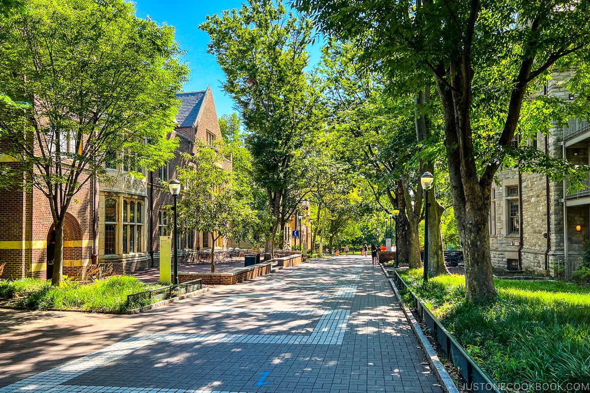 Locust Walk University of Pennsylvania