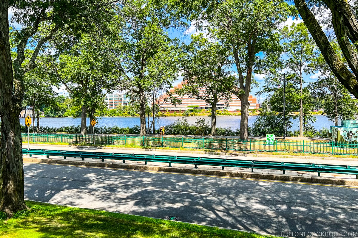 view of Charles River