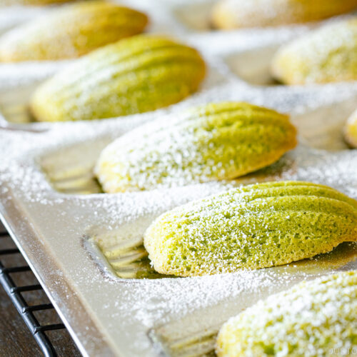 A Madeleine pan containing matcha green tea madeleines dusted with powdered sugar.