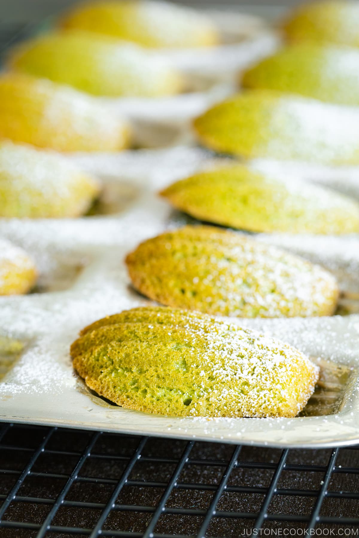 A Madeleine pan containing matcha green tea madeleines dusted with powdered sugar.