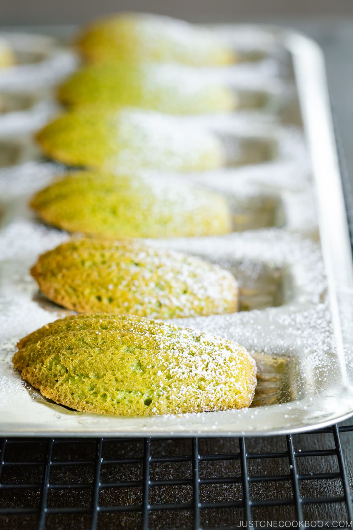 A Madeleine pan containing matcha green tea madeleines dusted with powdered sugar.