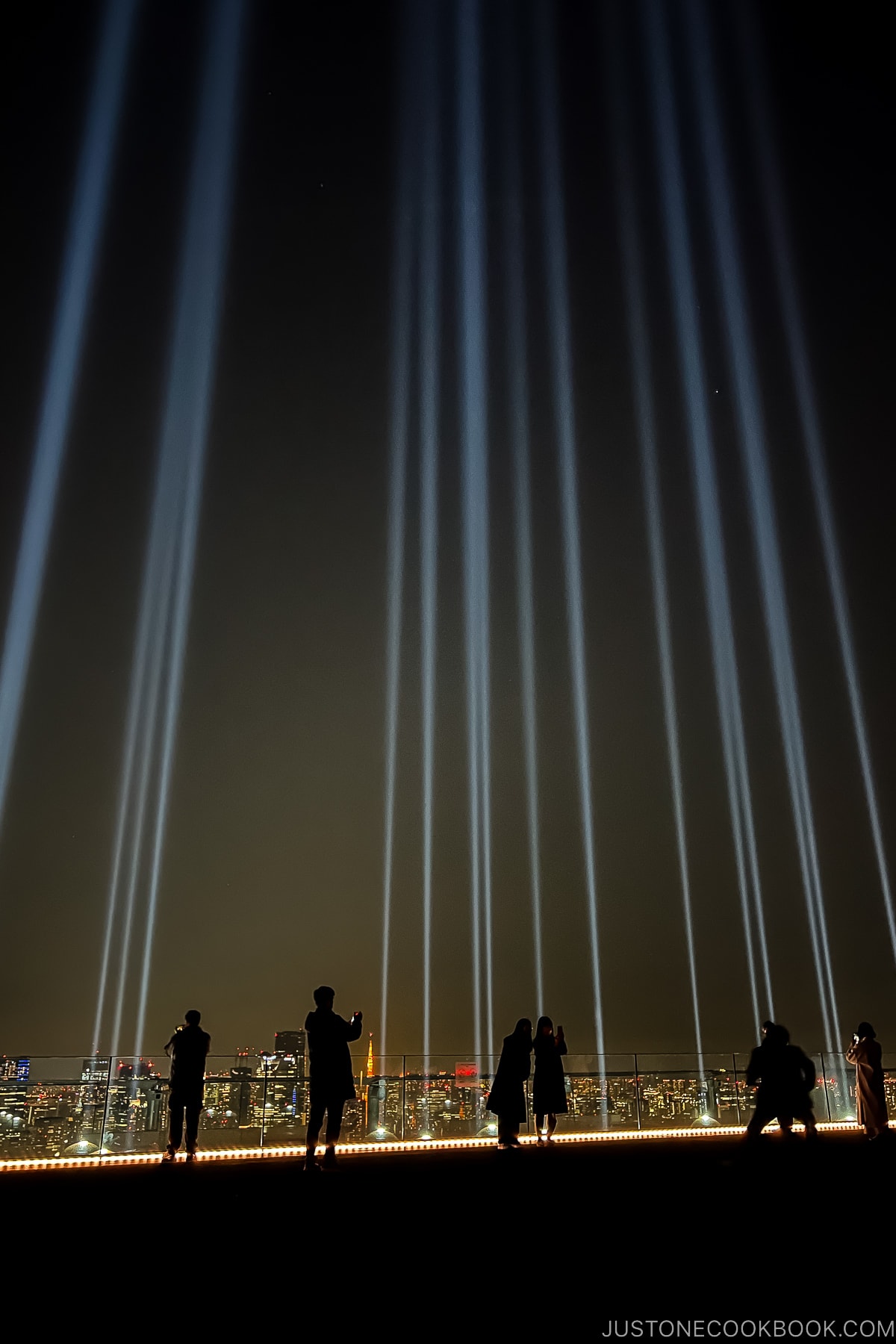 Crossing Light at Shibuya Sky