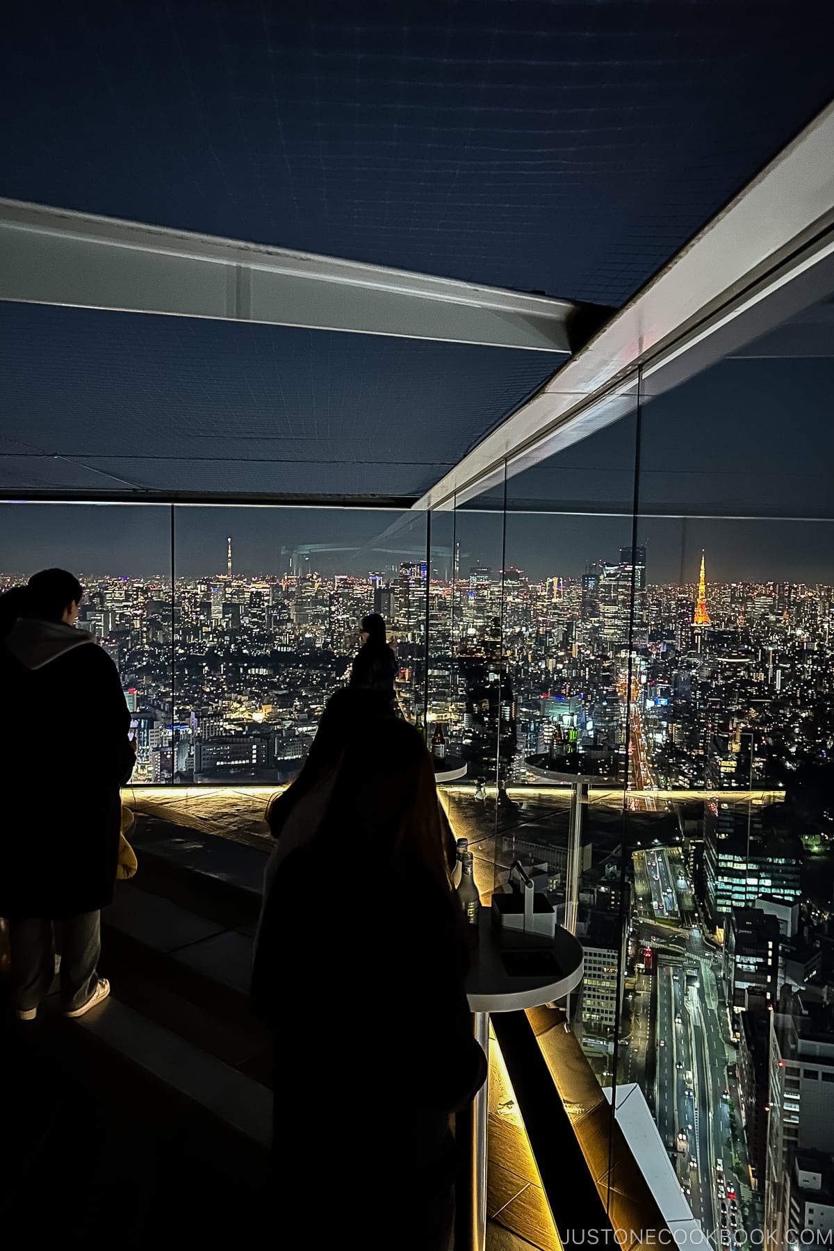 The Roof Shibuya Sky bar observation area