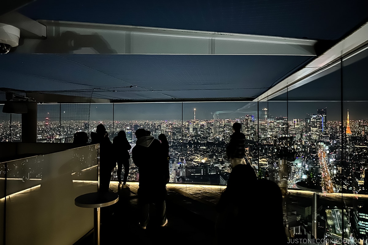 The Roof Shibuya Sky bar observation area