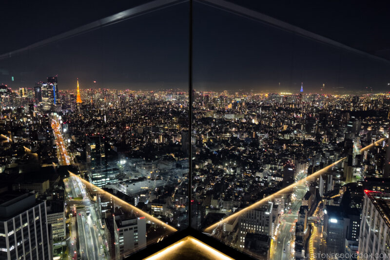 Shibuya Sky Futuristic Outdoor Observatory • Just One Cookbook