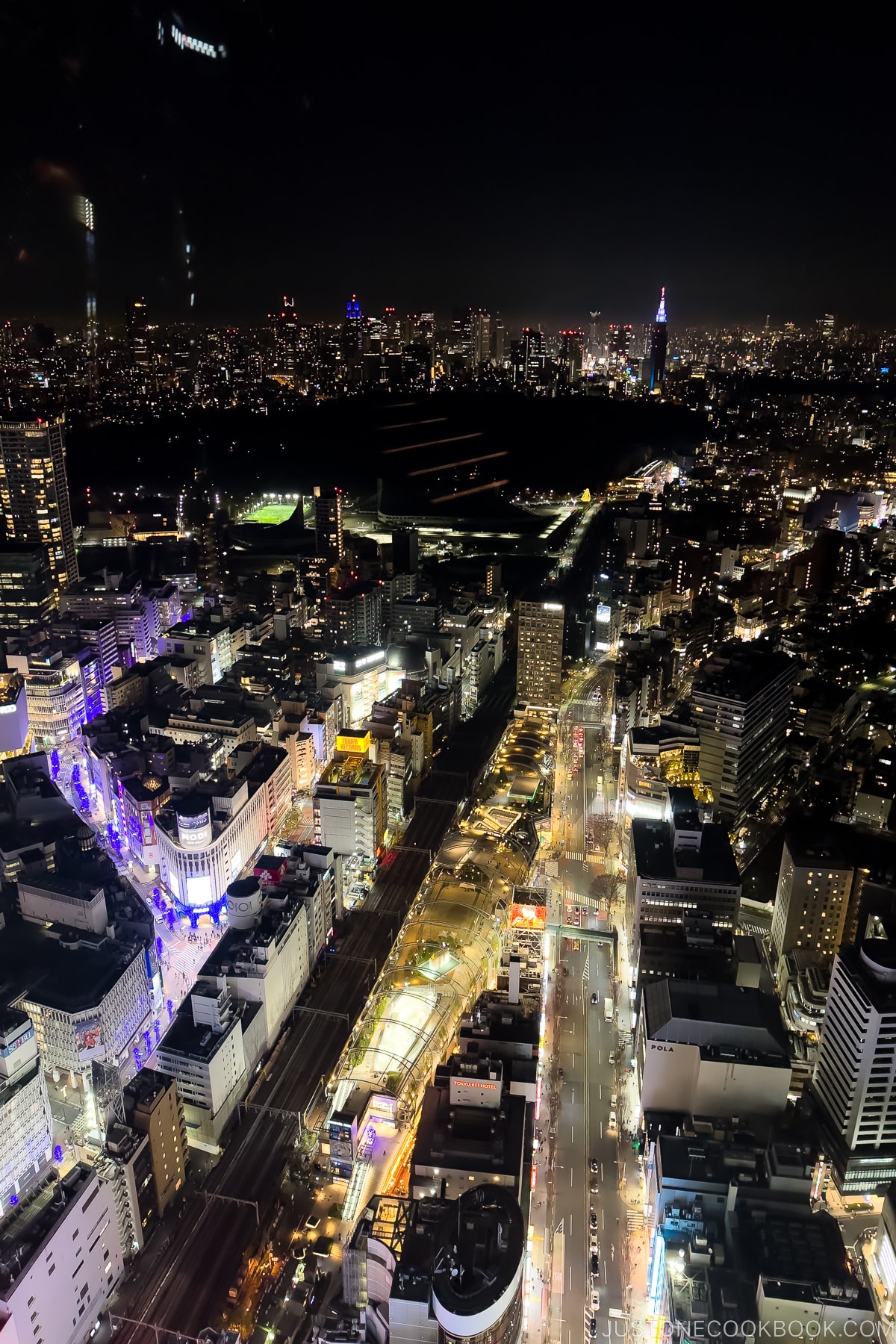 night view of Tokyo
