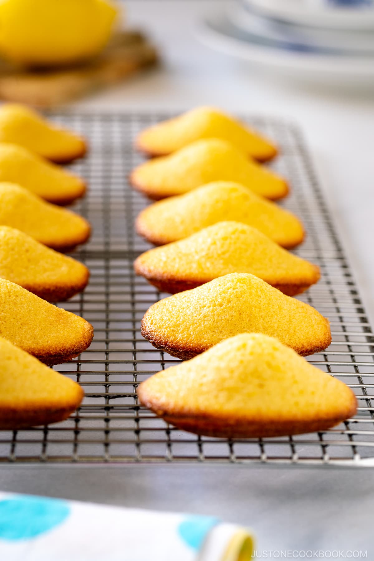 Freshly baked Madeleines are lined up on a wire rack.