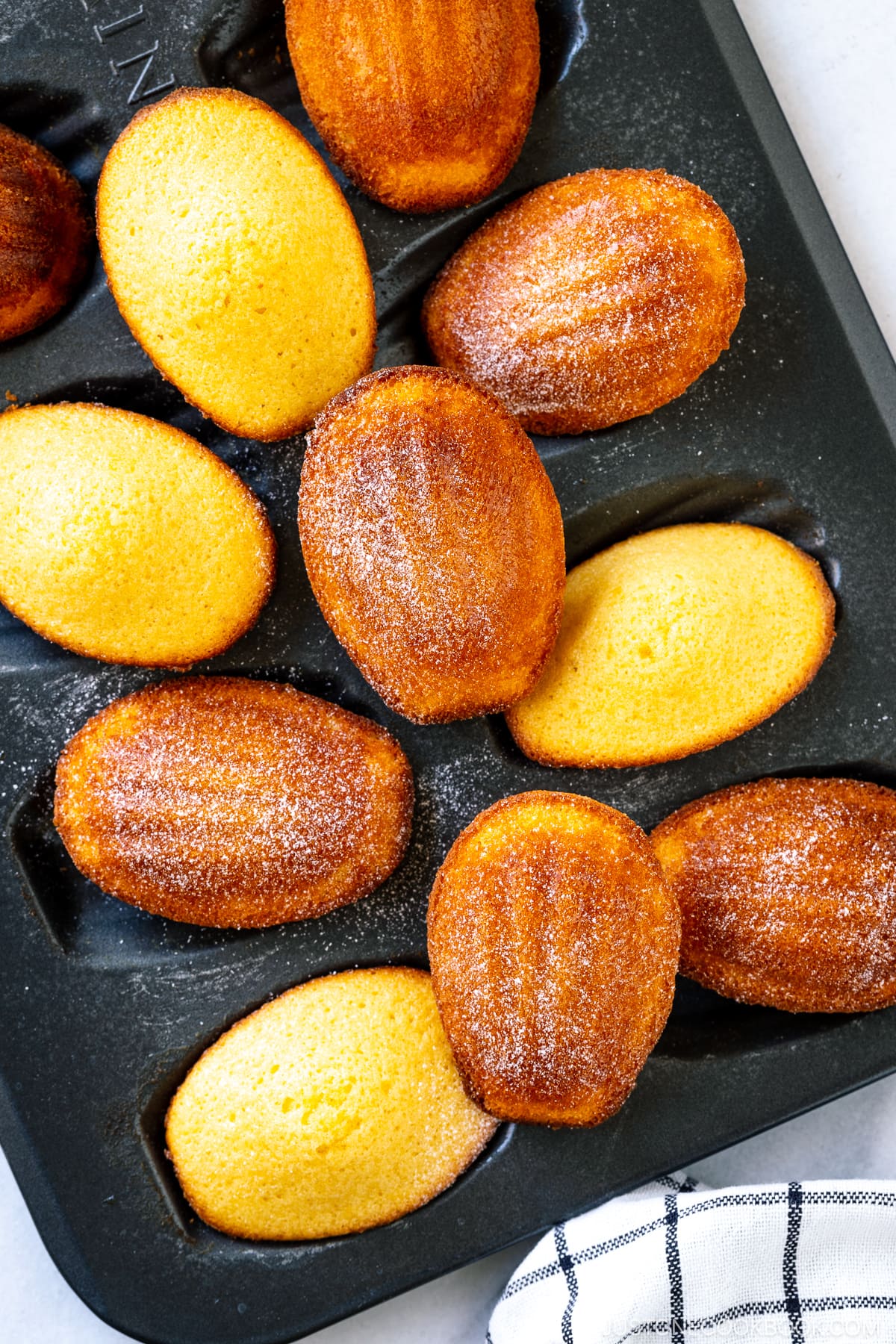 A madeleine pan containing freshly baked Madeleines dusted with powdered sugar.