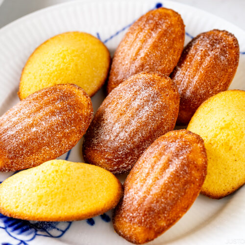 A Royal Copenhagen plate containing Madeleines dusted with powdered sugar.