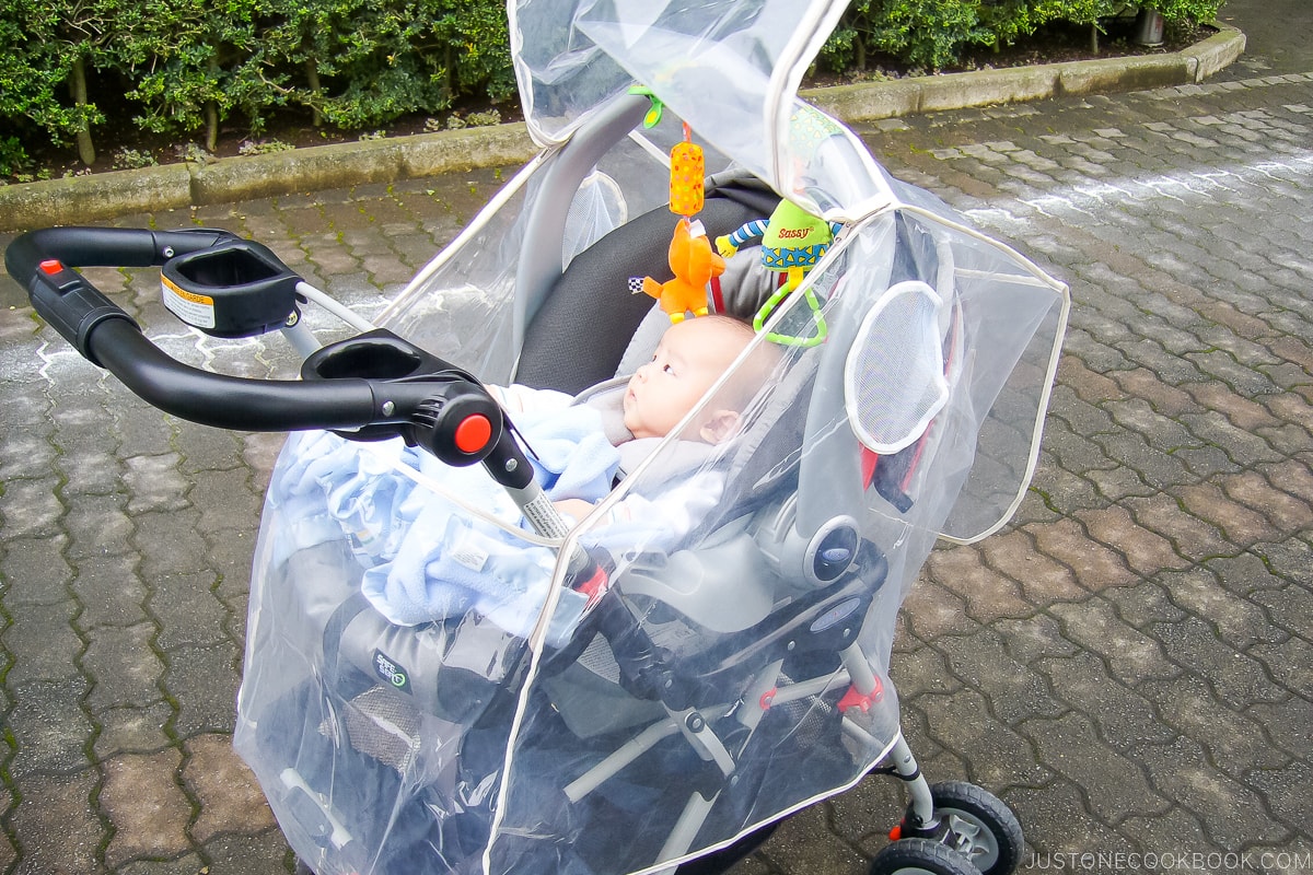 a baby in a stroller with rain cover