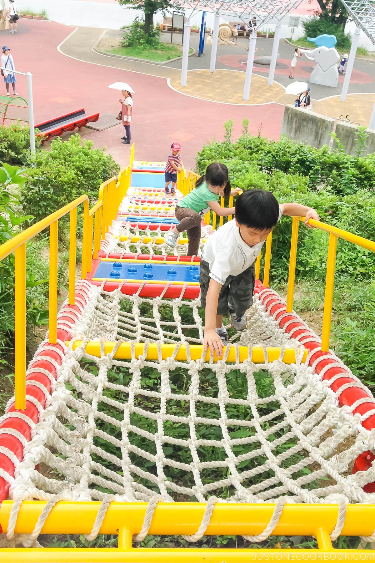 a girl and a boy climbing rope ladder