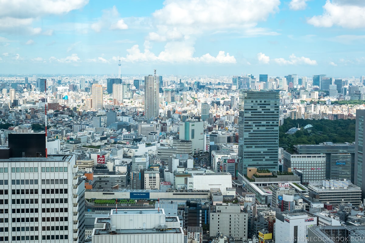 Birdseye view of Tokyo