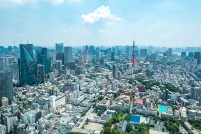 Tokyo Birdseye View