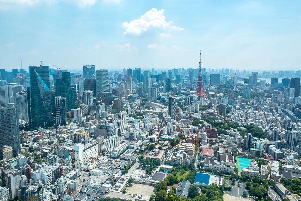 Ultimate Travel Guide to Tokyo 東京 • Just One Cookbook