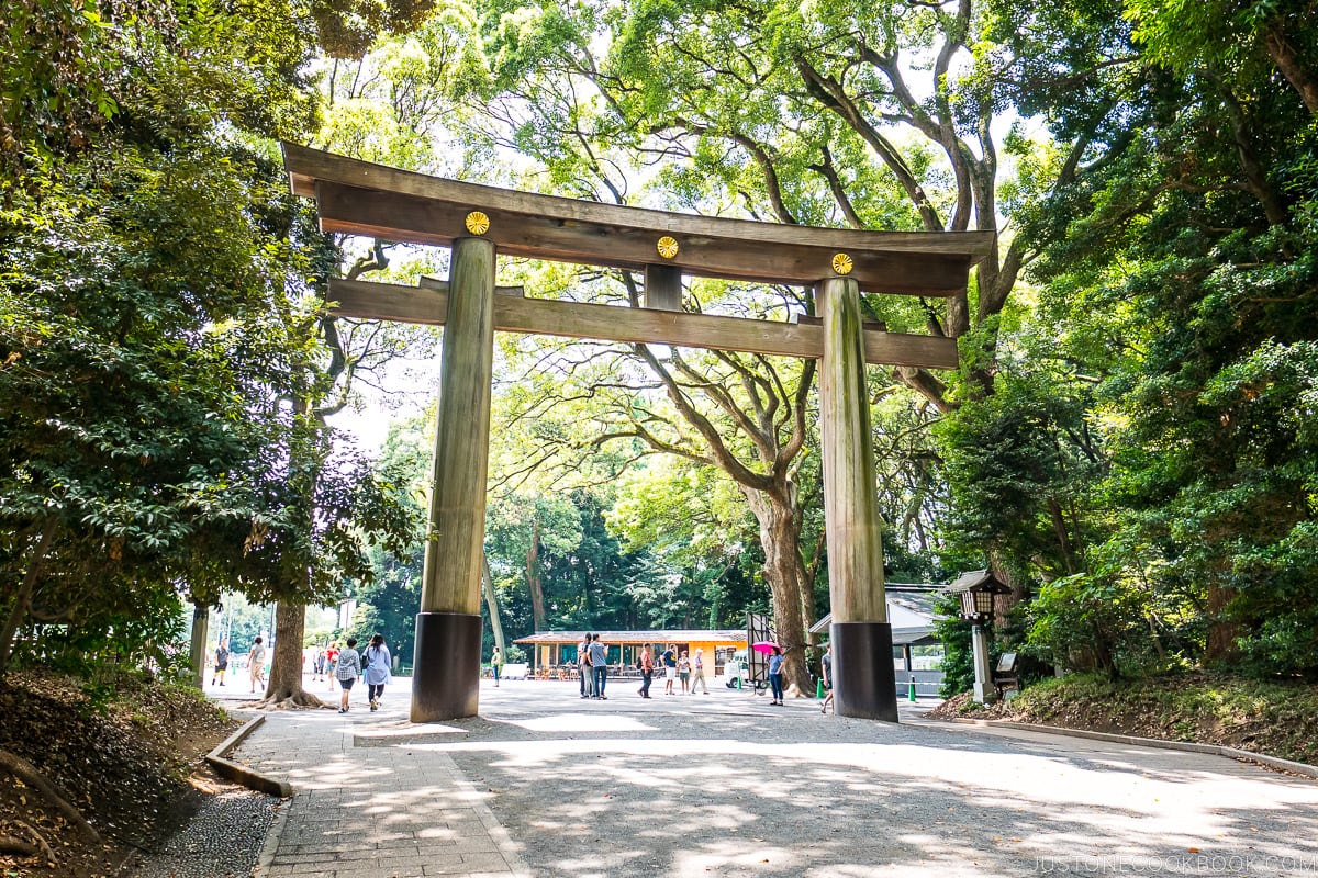 Torii Gate at Meiji Shrine