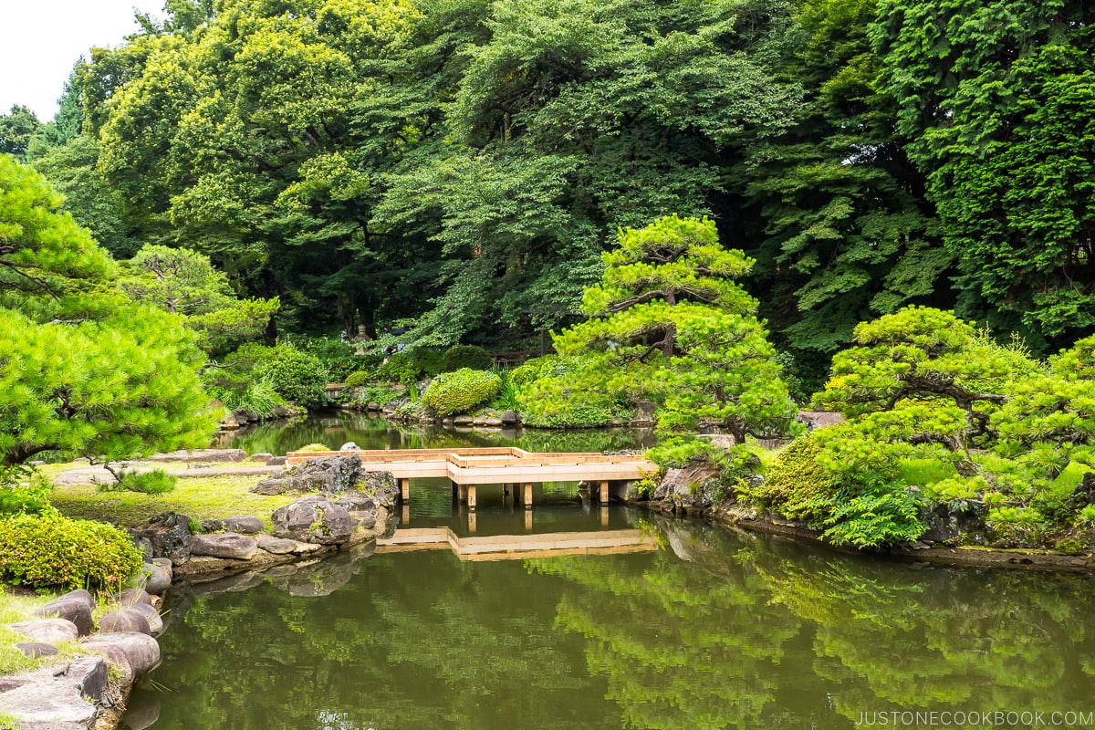 a pond with a wooden bridge and trees in the background