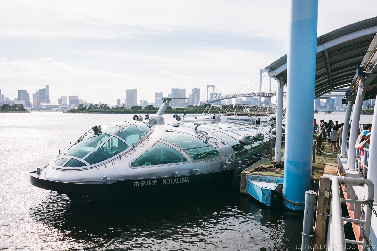 Tokyo Cruise Hotaluna Boat