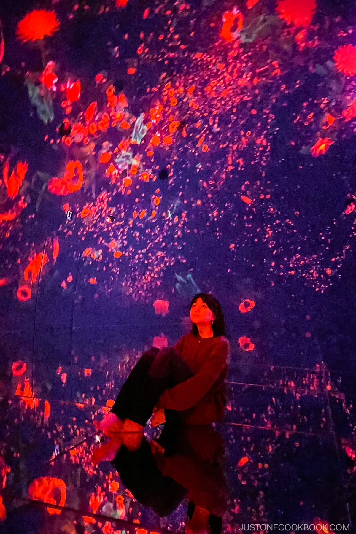 Floating in the Falling Universe of Flowers