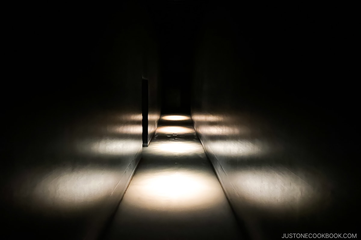 a dark hallway with a row of lights shining from top