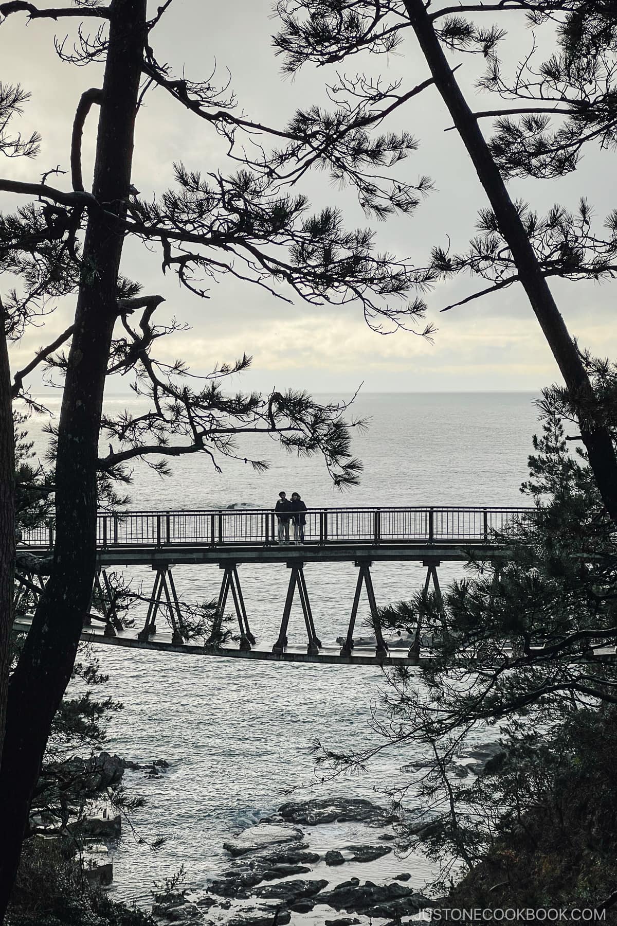 two people standing on a suspended bridge in a distance