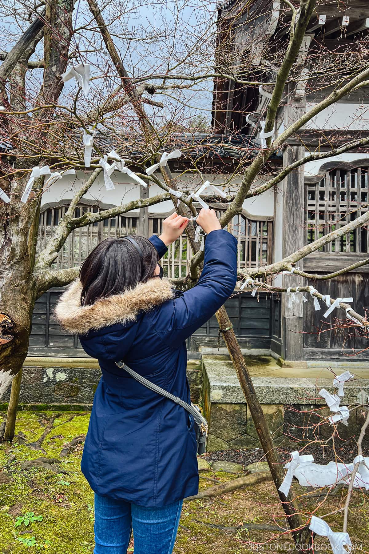 a girl typing omikuji on a tree branch